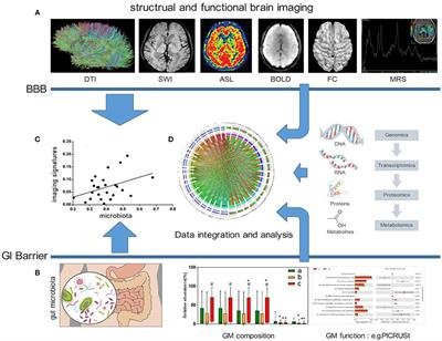 Crosstalk Between the Gut Microbiota and the Brain: An Update on Neuroimaging Findings